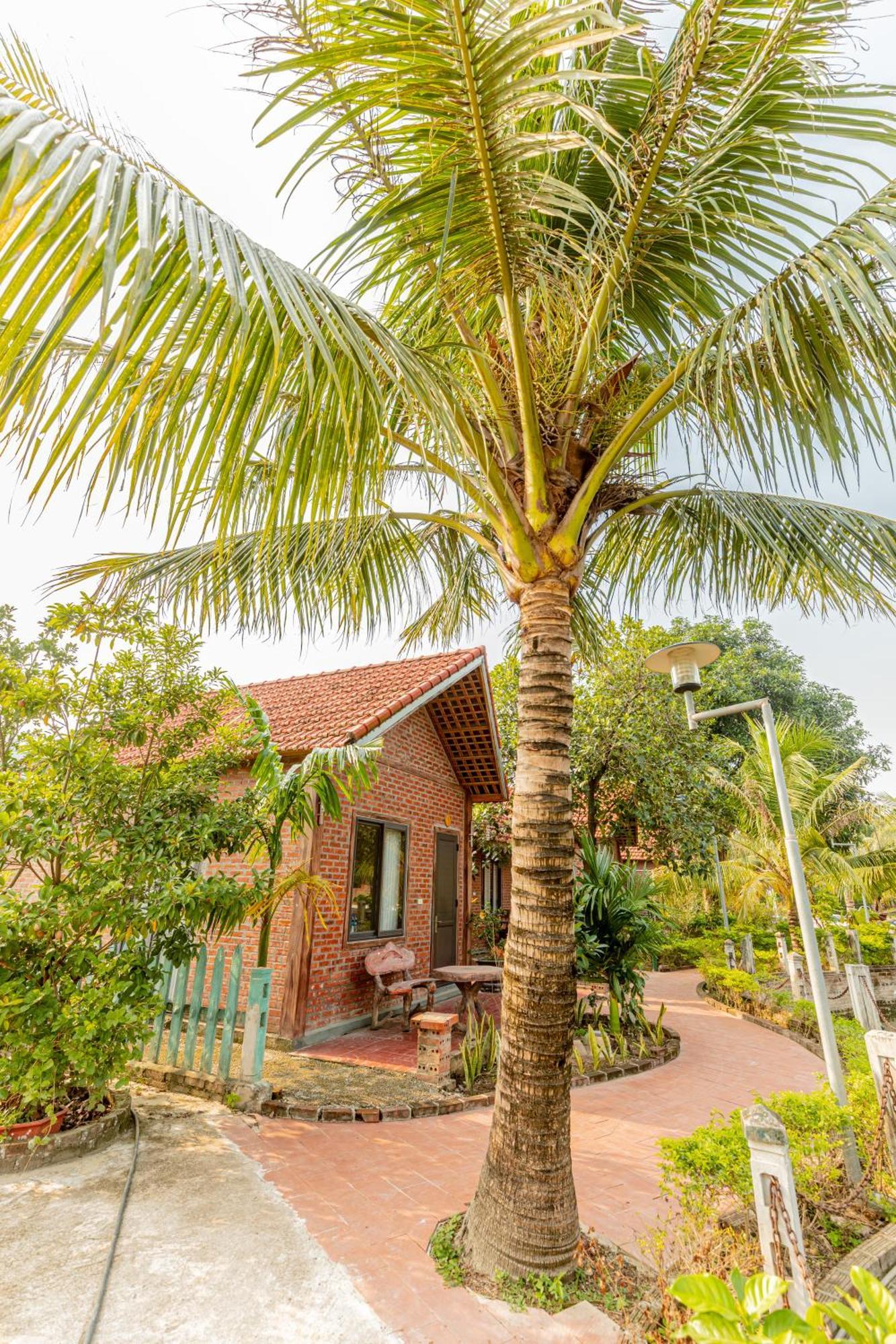 Tam Coc Green Garden Bungalow نينه بينه المظهر الخارجي الصورة