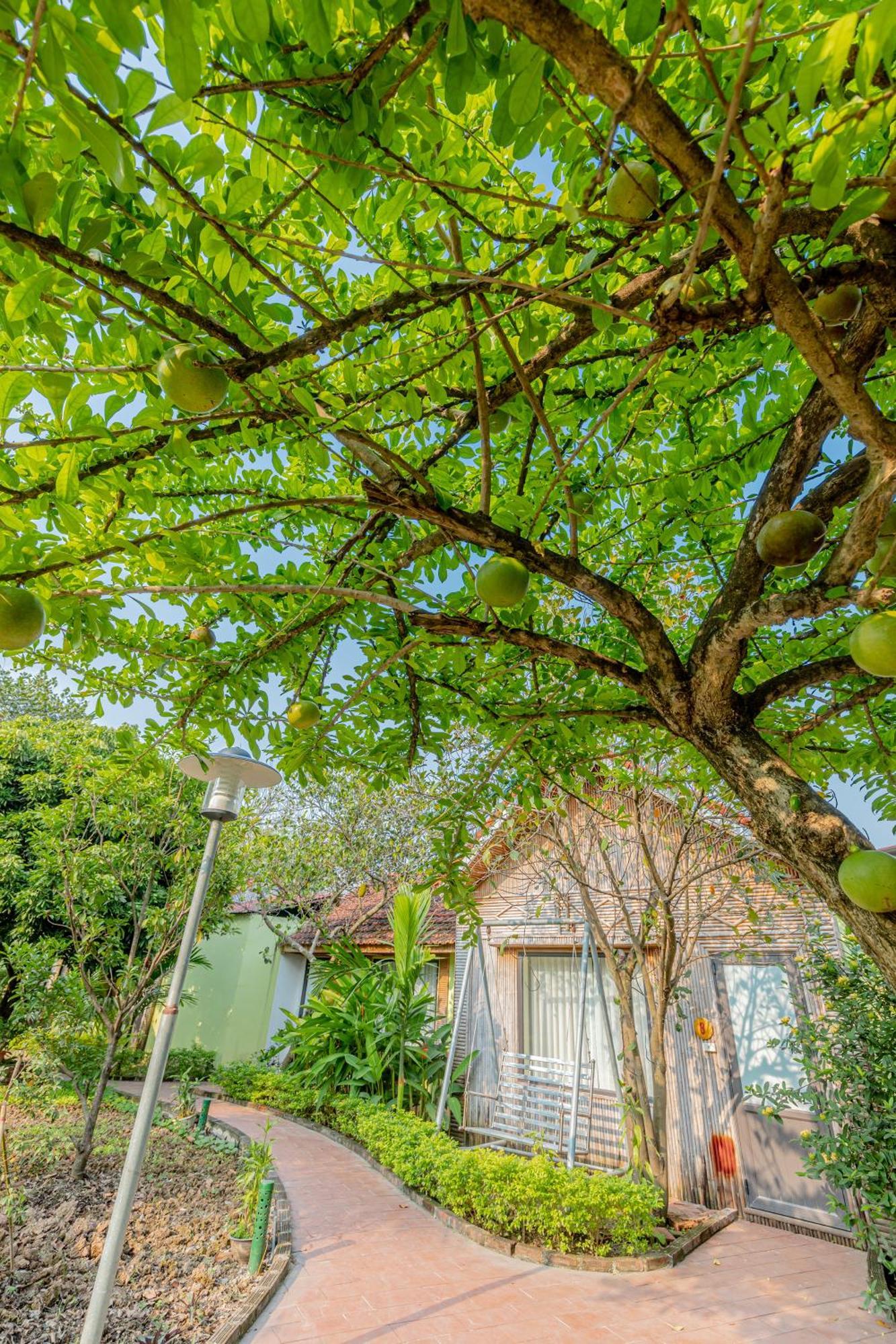 Tam Coc Green Garden Bungalow نينه بينه المظهر الخارجي الصورة